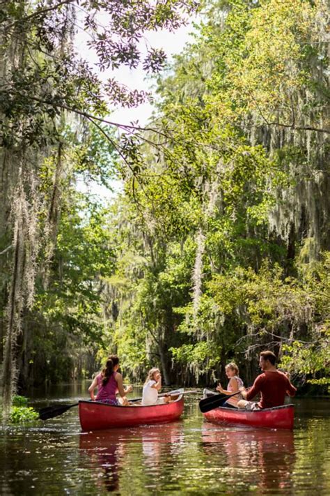 mcorz|Planning A Trip To Orlando .